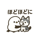 シマ姫の日常（個別スタンプ：11）