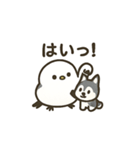 シマ姫の日常（個別スタンプ：12）