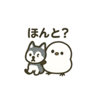 シマ姫の日常（個別スタンプ：17）