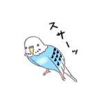 セキセイインコたちの日々（個別スタンプ：2）