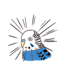 セキセイインコたちの日々（個別スタンプ：5）