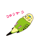 セキセイインコたちの日々（個別スタンプ：7）