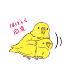 セキセイインコたちの日々（個別スタンプ：8）