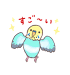 セキセイインコたちの日々（個別スタンプ：12）