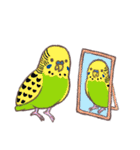 セキセイインコたちの日々（個別スタンプ：16）