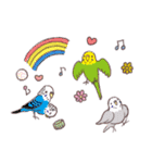 セキセイインコたちの日々（個別スタンプ：21）