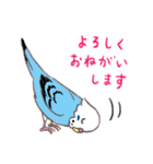 セキセイインコたちの日々（個別スタンプ：24）