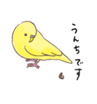 セキセイインコたちの日々（個別スタンプ：27）
