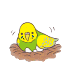 セキセイインコたちの日々（個別スタンプ：28）