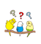 セキセイインコたちの日々（個別スタンプ：30）