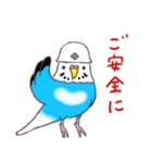 セキセイインコたちの日々（個別スタンプ：40）