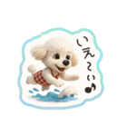 トイプードルの夏休み（個別スタンプ：10）