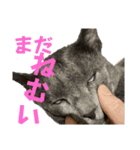いっぺーの。（個別スタンプ：4）