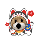 たんころのくんくん（個別スタンプ：7）