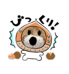 たんころのくんくん（個別スタンプ：11）