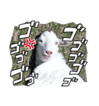ヤギですが何か？（個別スタンプ：7）