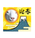 ヤギですが何か？（個別スタンプ：8）