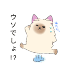 ヨーキーのクスッとするスタンプ2（個別スタンプ：7）