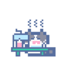 夏とドットねこ！！ハチワレ（個別スタンプ：22）