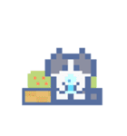夏とドットねこ！！ハチワレ（個別スタンプ：32）