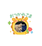 ぷる♡りき（個別スタンプ：3）