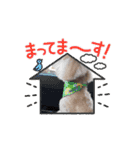 ぷる♡りき（個別スタンプ：10）