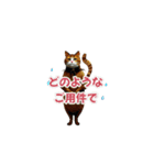 SEN Stamp 5（個別スタンプ：1）