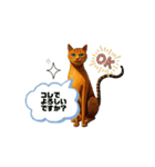 SEN Stamp 5（個別スタンプ：5）