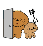 飛び出す！トイプー＆ぬいぐるみトイプー（個別スタンプ：1）