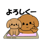 飛び出す！トイプー＆ぬいぐるみトイプー（個別スタンプ：2）