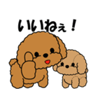 飛び出す！トイプー＆ぬいぐるみトイプー（個別スタンプ：3）