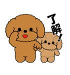 飛び出す！トイプー＆ぬいぐるみトイプー（個別スタンプ：4）