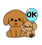 飛び出す！トイプー＆ぬいぐるみトイプー（個別スタンプ：9）