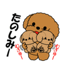 飛び出す！トイプー＆ぬいぐるみトイプー（個別スタンプ：11）