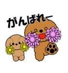 飛び出す！トイプー＆ぬいぐるみトイプー（個別スタンプ：13）