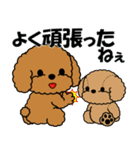 飛び出す！トイプー＆ぬいぐるみトイプー（個別スタンプ：14）