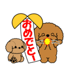 飛び出す！トイプー＆ぬいぐるみトイプー（個別スタンプ：15）