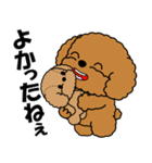 飛び出す！トイプー＆ぬいぐるみトイプー（個別スタンプ：16）