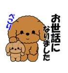 飛び出す！トイプー＆ぬいぐるみトイプー（個別スタンプ：17）