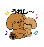 飛び出す！トイプー＆ぬいぐるみトイプー（個別スタンプ：19）
