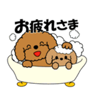 飛び出す！トイプー＆ぬいぐるみトイプー（個別スタンプ：21）