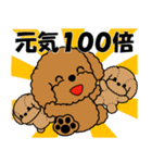 飛び出す！トイプー＆ぬいぐるみトイプー（個別スタンプ：22）