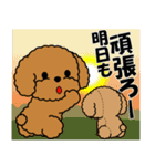 飛び出す！トイプー＆ぬいぐるみトイプー（個別スタンプ：23）
