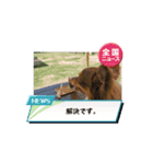 ちゃちゃちゃんです2（個別スタンプ：4）