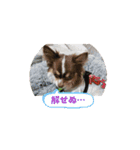 ちゃちゃちゃんです2（個別スタンプ：6）