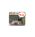 ちゃちゃちゃんです2（個別スタンプ：7）