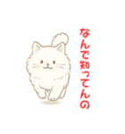なんで知ってんのか驚く猫（個別スタンプ：1）