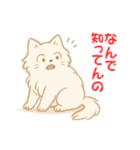 なんで知ってんのか驚く猫（個別スタンプ：2）