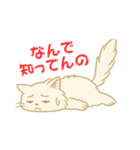 なんで知ってんのか驚く猫（個別スタンプ：10）
