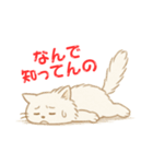 なんで知ってんのか驚く猫（個別スタンプ：11）